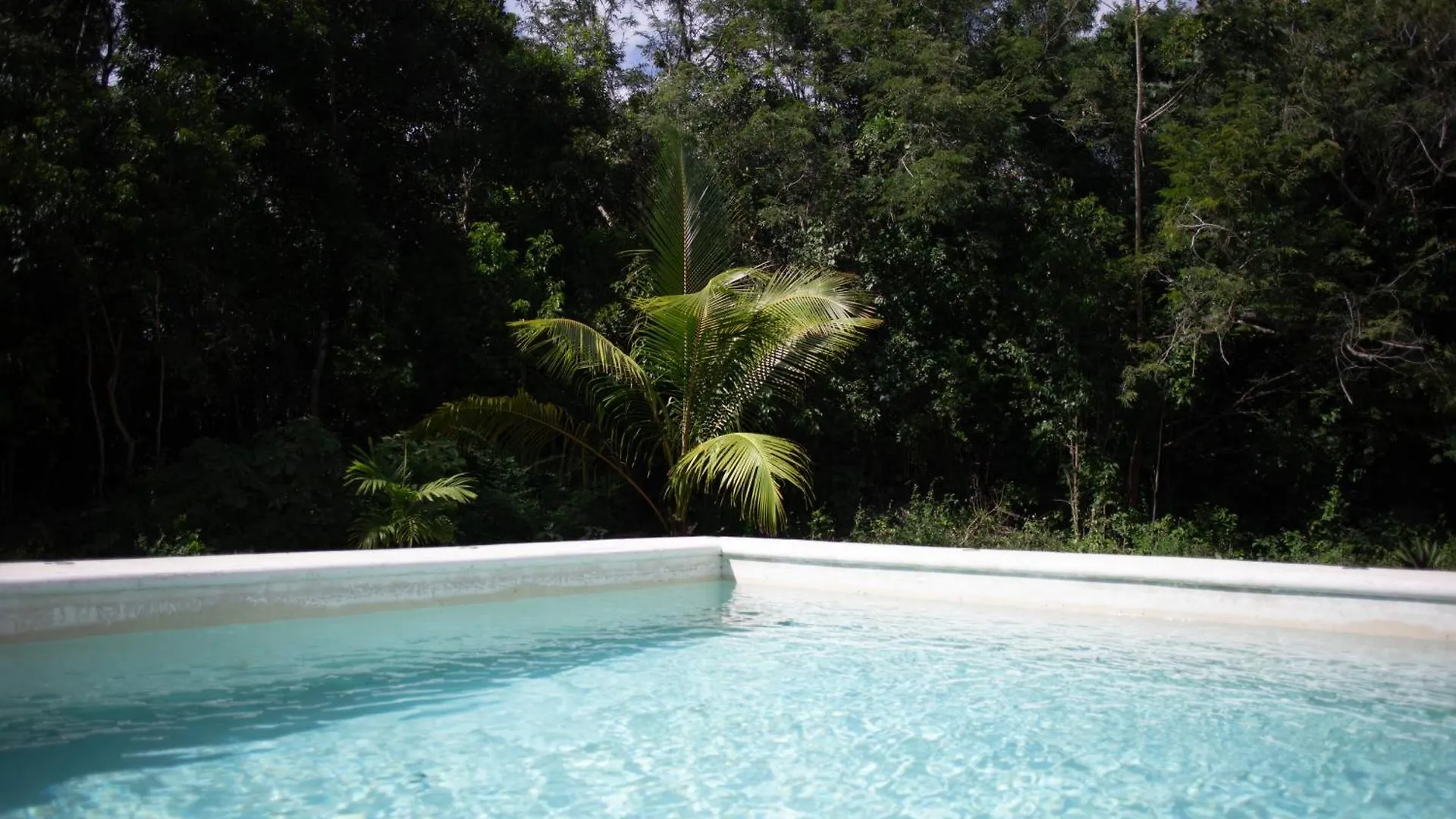 Guest house Ama-Gi Holistic Hotel Puerto Morelos